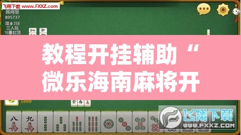 教程开挂辅助“微乐海南麻将开挂神器	”(透视挂)辅助透视教程