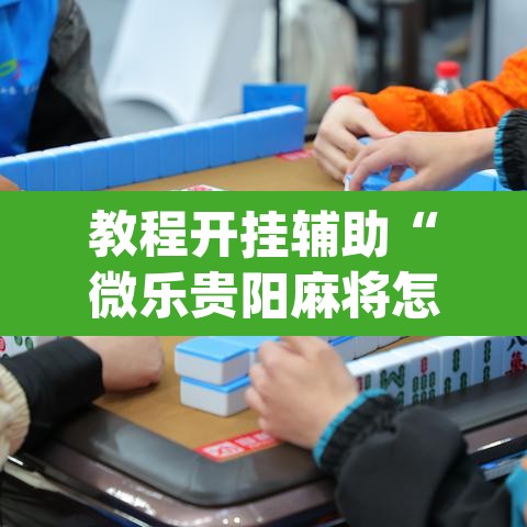 教程开挂辅助“微乐贵阳麻将怎么开挂	”(透视挂)辅助透视教程