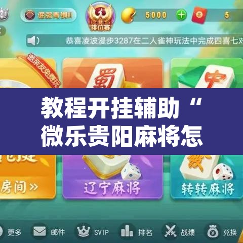 教程开挂辅助“微乐贵阳麻将怎么开挂”(透视挂)辅助透视教程