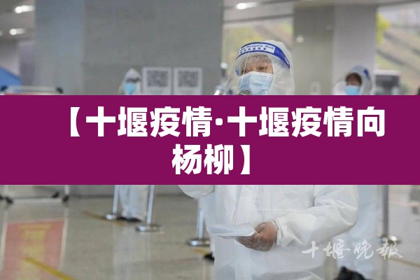 【十堰疫情·十堰疫情向杨柳】