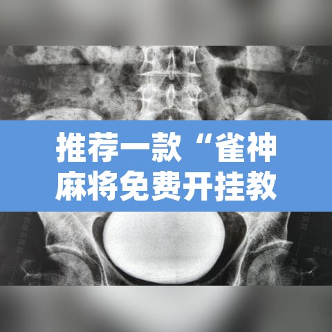 推荐一款“雀神麻将免费开挂教程	”(透视挂)辅助透视教程