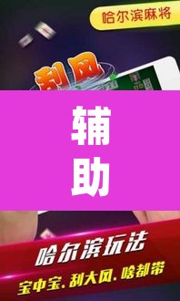 辅助神器“微乐云南麻将开挂神器下载”(透视挂)辅助透视教程
