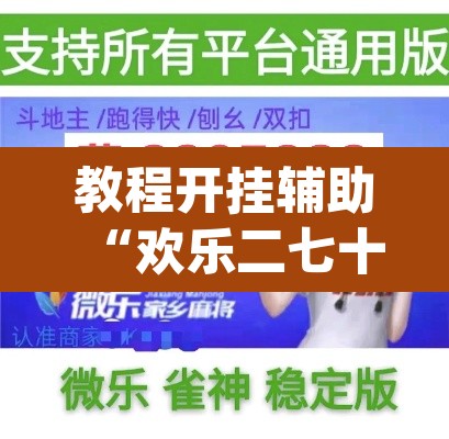 教程开挂辅助“欢乐二七十辅助工具	”(透视挂)辅助透视教程