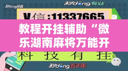 教程开挂辅助“微乐湖南麻将万能开挂器免费”(透视挂)辅助透视教程
