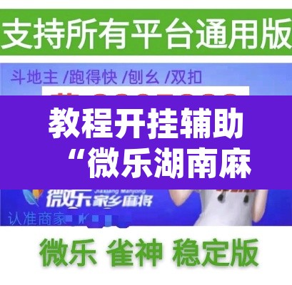 教程开挂辅助“微乐湖南麻将万能开挂器免费”(透视挂)辅助透视教程