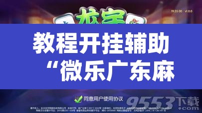 教程开挂辅助“微乐广东麻将有挂吗	”(透视挂)辅助透视教程