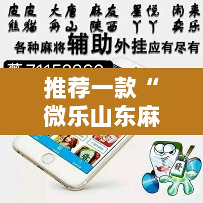 推荐一款“微乐山东麻将开挂免费下载安装”(透视挂)辅助透视教程