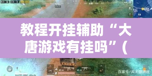 教程开挂辅助“大唐游戏有挂吗”(透视挂)辅助透视教程