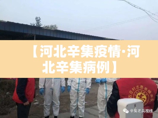 【河北辛集疫情·河北辛集病例】