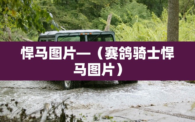 悍马图片—（赛鸽骑士悍马图片）