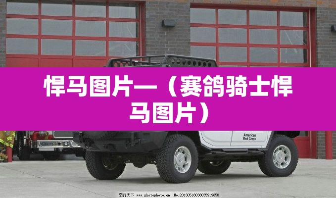 悍马图片—（赛鸽骑士悍马图片）
