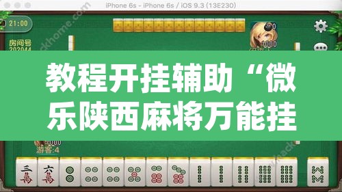 教程开挂辅助“微乐陕西麻将万能挂”(透视挂)辅助透视教程