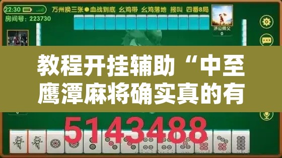 教程开挂辅助“中至鹰潭麻将确实真的有挂吗”(透视挂)辅助透视教程
