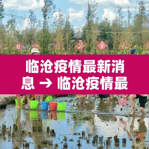 临沧疫情最新消息 → 临沧疫情最新消息18号