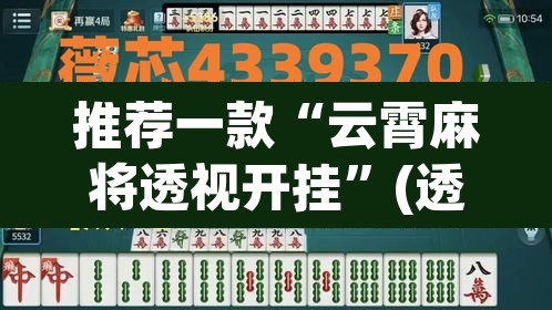 推荐一款“云霄麻将透视开挂	”(透视挂)辅助透视教程