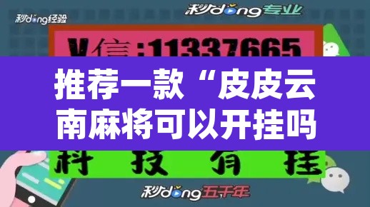 推荐一款“皮皮云南麻将可以开挂吗	”(透视挂)辅助透视教程
