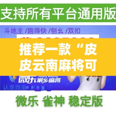 推荐一款“皮皮云南麻将可以开挂吗”(透视挂)辅助透视教程