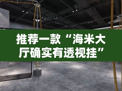 推荐一款“海米大厅确实有透视挂	”(透视挂)辅助透视教程