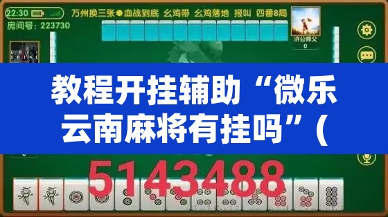 教程开挂辅助“微乐云南麻将有挂吗”(透视挂)辅助透视教程