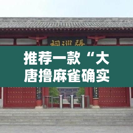 推荐一款“大唐撸麻雀确实可以开挂”(透视挂)辅助透视教程