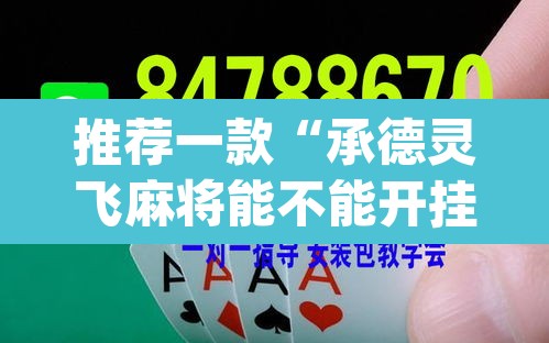 推荐一款“承德灵飞麻将能不能开挂”(透视挂)辅助透视教程