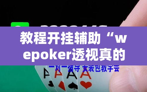 教程开挂辅助“wepoker透视真的吗”(透视挂)辅助透视教程