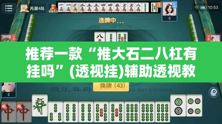 推荐一款“推大石二八杠有挂吗	”(透视挂)辅助透视教程