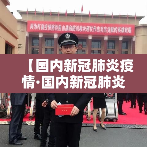 【国内新冠肺炎疫情·国内新冠肺炎疫情情况】