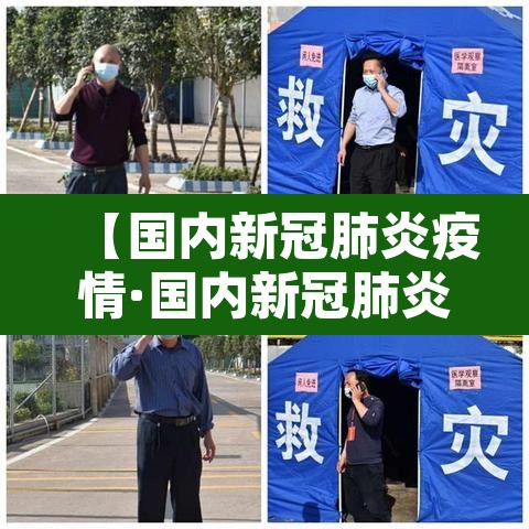 【国内新冠肺炎疫情·国内新冠肺炎疫情情况】