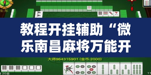 教程开挂辅助“微乐南昌麻将万能开挂器”(透视挂)辅助透视教程