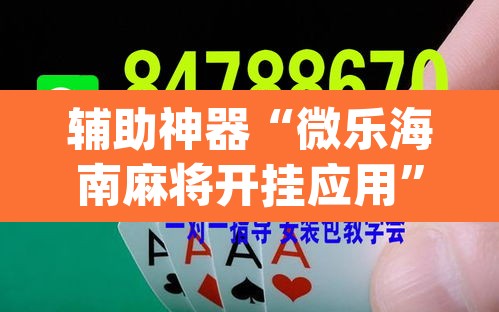 辅助神器“微乐海南麻将开挂应用”(透视挂)辅助透视教程