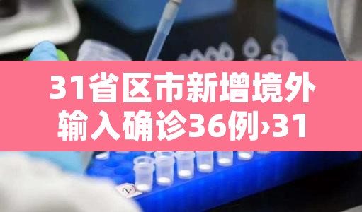 31省区市新增境外输入确诊36例›31省区市新增13例境外输入