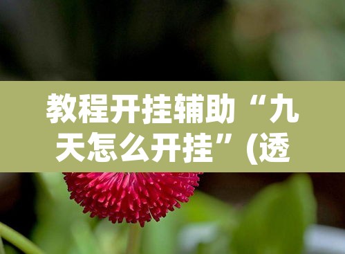 教程开挂辅助“九天怎么开挂	”(透视挂)辅助透视教程