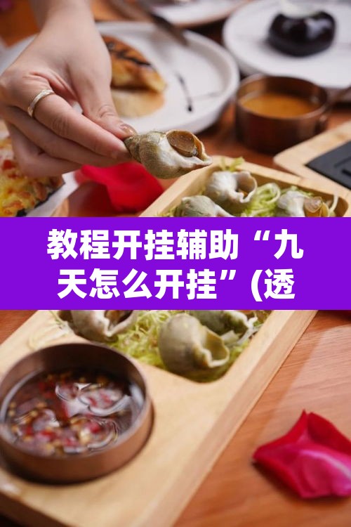 教程开挂辅助“九天怎么开挂”(透视挂)辅助透视教程