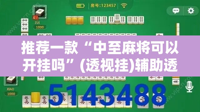 推荐一款“中至麻将可以开挂吗”(透视挂)辅助透视教程