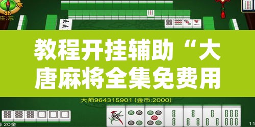 教程开挂辅助“大唐麻将全集免费用挂”(透视挂)辅助透视教程