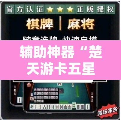 辅助神器“楚天游卡五星辅助器”(透视挂)辅助透视教程