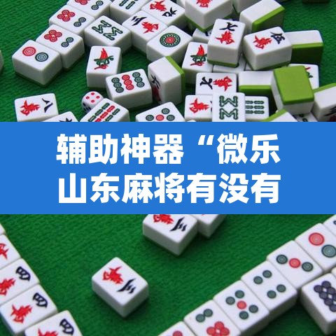 辅助神器“微乐山东麻将有没有开挂神器”(透视挂)辅助透视教程
