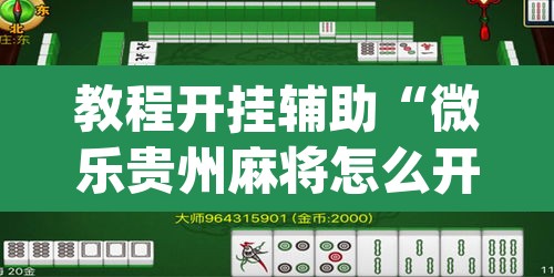 教程开挂辅助“微乐贵州麻将怎么开挂”(透视挂)辅助透视教程
