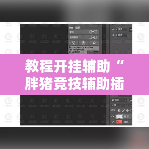 教程开挂辅助“胖猪竞技辅助插件”(透视挂)辅助透视教程