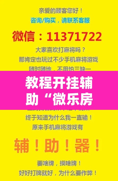 教程开挂辅助“微乐房间怎么开挂视频	”(透视挂)辅助透视教程