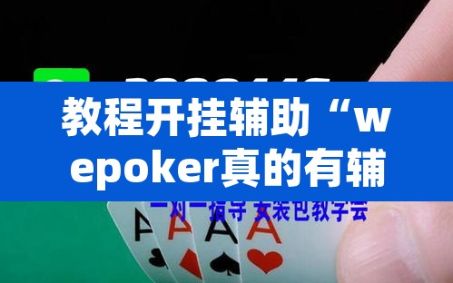 教程开挂辅助“wepoker真的有辅助吗”(透视挂)辅助透视教程