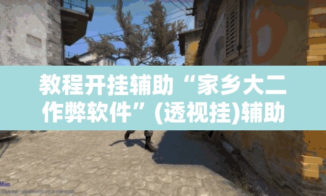教程开挂辅助“家乡大二作弊软件”(透视挂)辅助透视教程