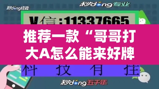推荐一款“哥哥打大A怎么能来好牌”(透视挂)辅助透视教程