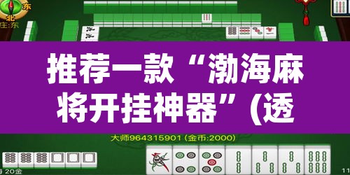 推荐一款“渤海麻将开挂神器”(透视挂)辅助透视教程