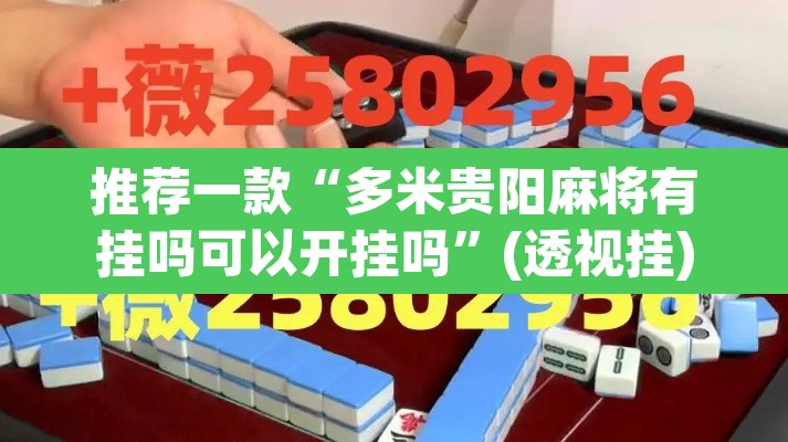 推荐一款“多米贵阳麻将有挂吗可以开挂吗”(透视挂)辅助透视教程