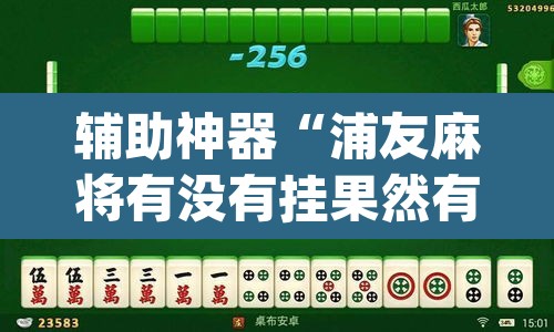 辅助神器“浦友麻将有没有挂果然有挂”(透视挂)辅助透视教程