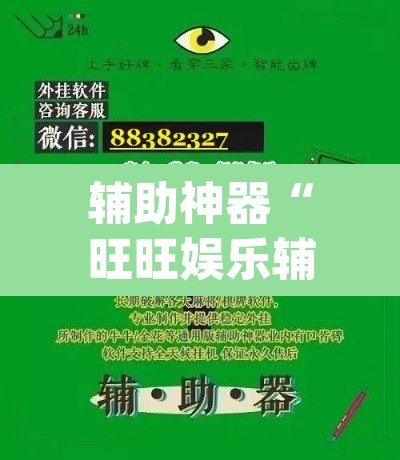 辅助神器“旺旺娱乐辅助器	”(透视挂)辅助透视教程