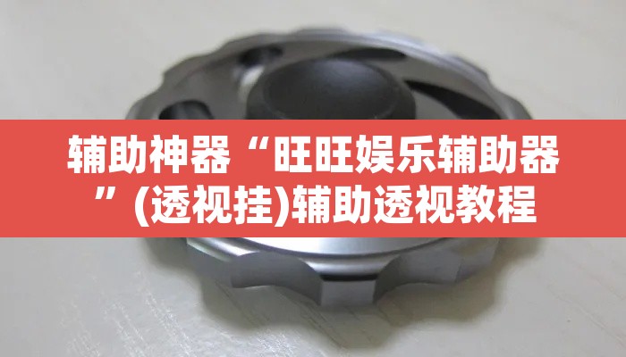 辅助神器“旺旺娱乐辅助器”(透视挂)辅助透视教程