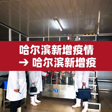 哈尔滨新增疫情 → 哈尔滨新增疫情在哪个区